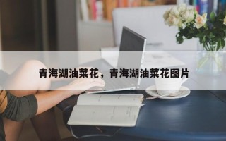 青海湖油菜花，青海湖油菜花图片