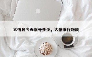 大悟县今天限号多少，大悟限行路段