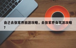 自己去张家界旅游攻略，去张家界自驾游攻略？