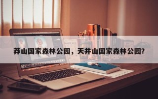 莽山国家森林公园，天井山国家森林公园？