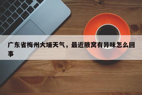 广东省梅州大埔天气，最近腋窝有异味怎么回事