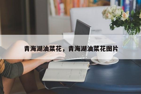 青海湖油菜花，青海湖油菜花图片