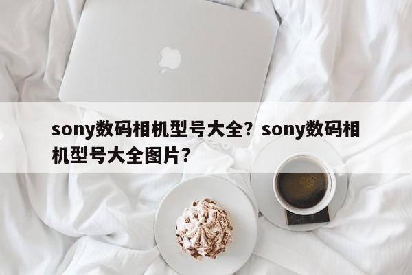 sony数码相机型号大全？sony数码相机型号大全图片？