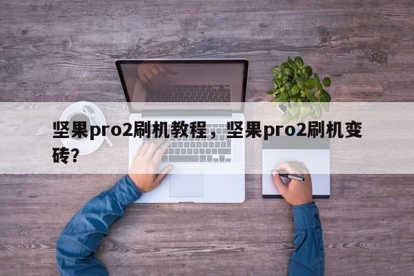 坚果pro2刷机教程，坚果pro2刷机变砖？