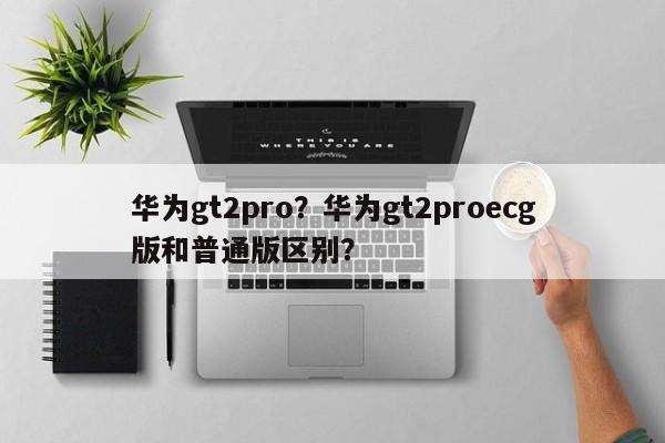 华为gt2pro？华为gt2proecg版和普通版区别？