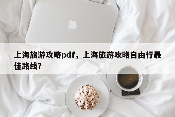 上海旅游攻略pdf，上海旅游攻略自由行最佳路线？