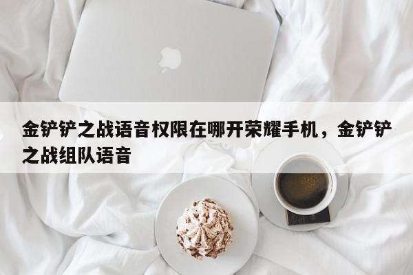 金铲铲之战语音权限在哪开荣耀手机，金铲铲之战组队语音