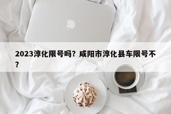 2023淳化限号吗？咸阳市淳化县车限号不？