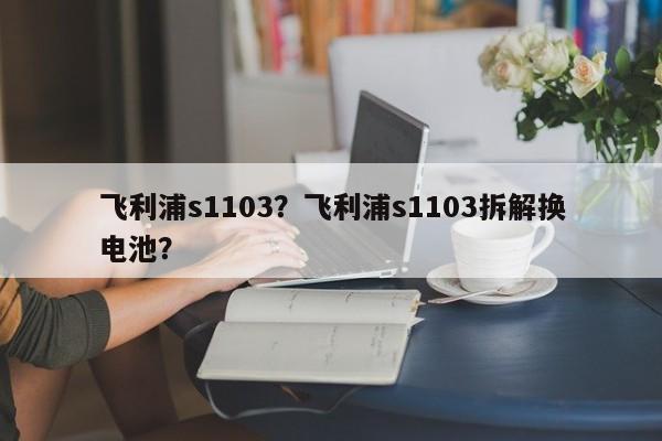 飞利浦s1103?飞利浦s1103拆解换电池? 第1张 飞利浦s1103?飞利浦s1103拆解换电池? 第1张