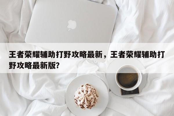 王者荣耀辅助打野攻略最新，王者荣耀辅助打野攻略最新版？