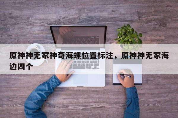 原神神无冢神奇海螺位置标注，原神神无冢海边四个