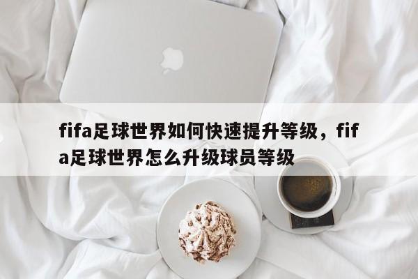 fifa足球世界如何快速提升等级，fifa足球世界怎么升级球员等级