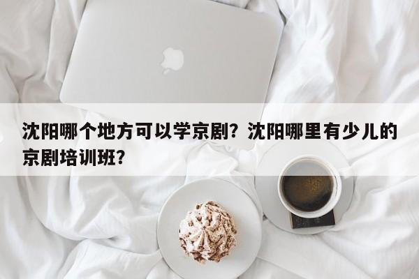 沈阳哪个地方可以学京剧？沈阳哪里有少儿的京剧培训班？