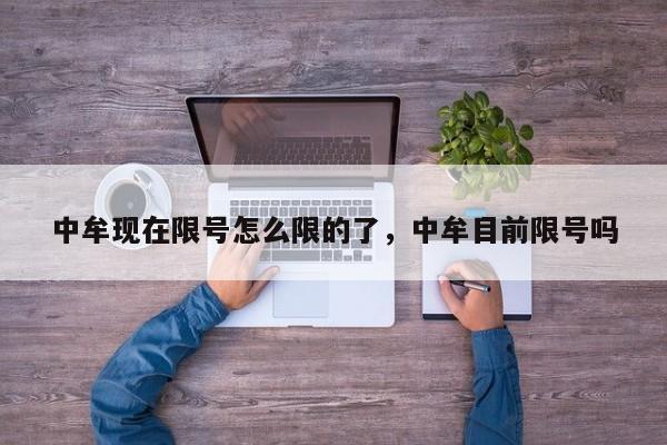 中牟现在限号怎么限的了，中牟目前限号吗