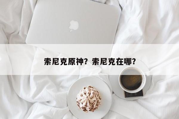 索尼克原神？索尼克在哪？