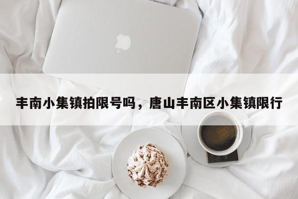丰南小集镇拍限号吗，唐山丰南区小集镇限行