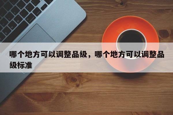 哪个地方可以调整品级，哪个地方可以调整品级标准