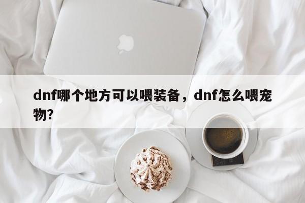 dnf哪个地方可以喂装备，dnf怎么喂宠物？