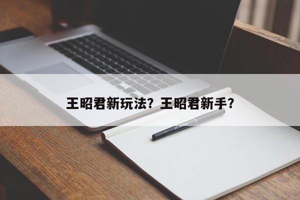 王昭君新玩法？王昭君新手？