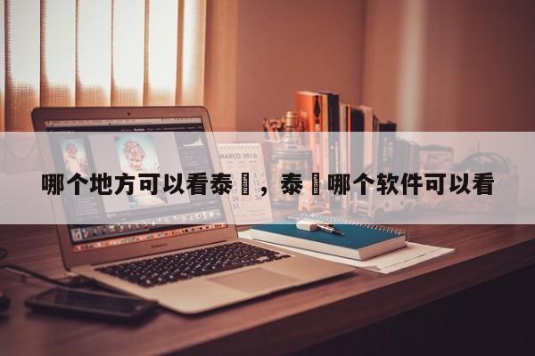 哪个地方可以看泰囧，泰囧哪个软件可以看