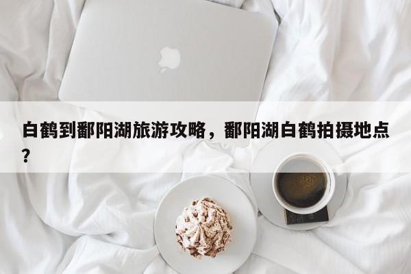 白鹤到鄱阳湖旅游攻略，鄱阳湖白鹤拍摄地点？