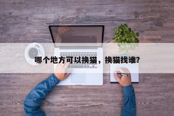 哪个地方可以换猫，换猫找谁？