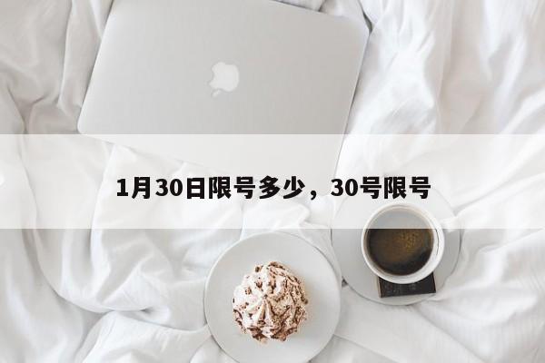 1月30日限号多少，30号限号
