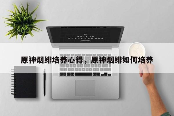 原神烟绯培养心得，原神烟绯如何培养