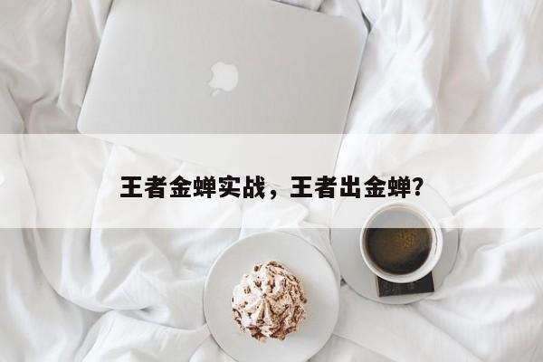 王者金蝉实战，王者出金蝉？