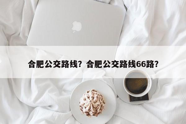合肥公交路线？合肥公交路线66路？
