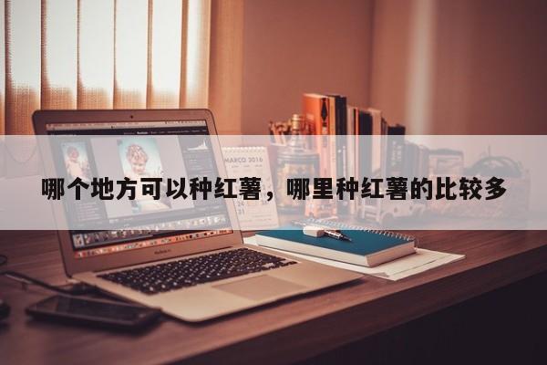 哪个地方可以种红薯，哪里种红薯的比较多