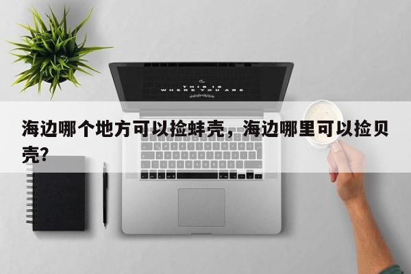 海边哪个地方可以捡蚌壳，海边哪里可以捡贝壳？