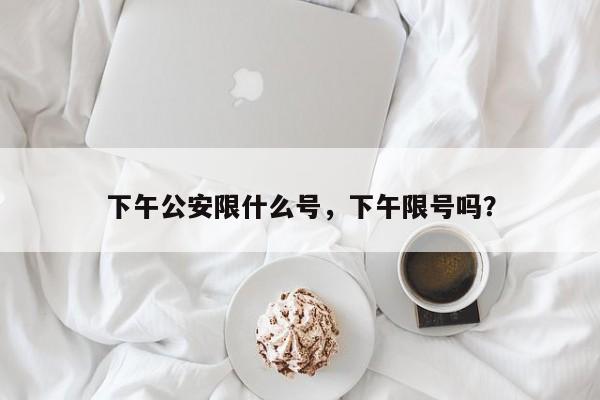 下午公安限什么号，下午限号吗？