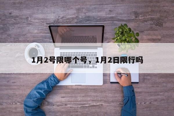 1月2号限哪个号，1月2日限行吗