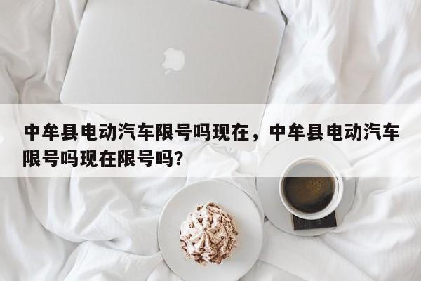 中牟县电动汽车限号吗现在,中牟县电动汽车限号吗现在限号吗? 第1张 中牟县电动汽车限号吗现在,中牟县电动汽车限号吗现在限号吗? 第1张