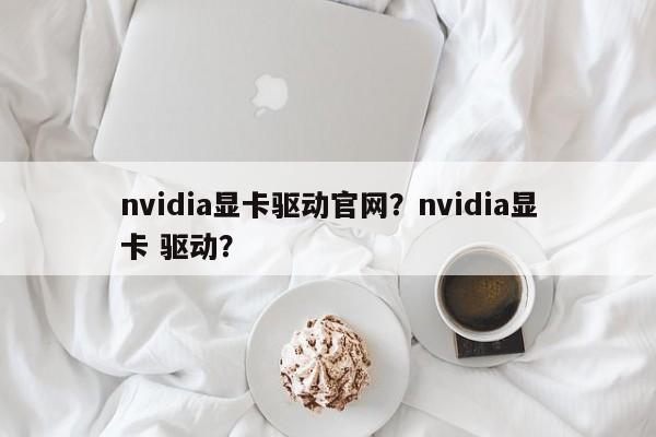 nvidia显卡驱动官网？nvidia显卡 驱动？  第1张