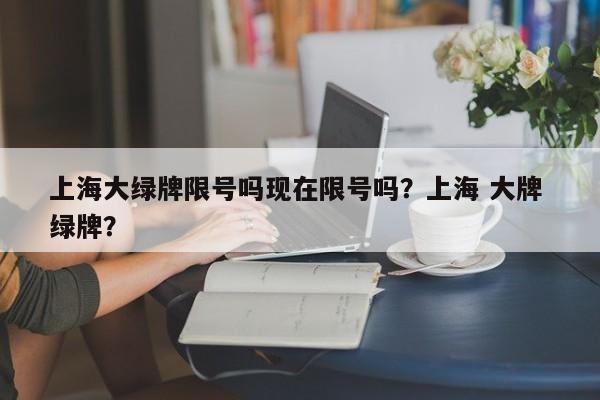 上海大绿牌限号吗现在限号吗?上海 大牌 绿牌? 第1张 上海大绿牌限号吗现在限号吗?上海 大牌 绿牌? 第1张