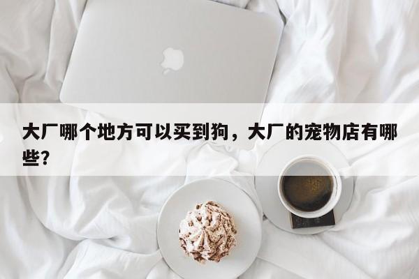 大厂哪个地方可以买到狗,大厂的宠物店有哪些? 第1张 大厂哪个地方可以买到狗,大厂的宠物店有哪些? 第1张