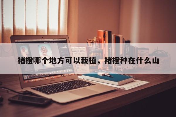 褚橙哪个地方可以栽植，褚橙种在什么山  第1张