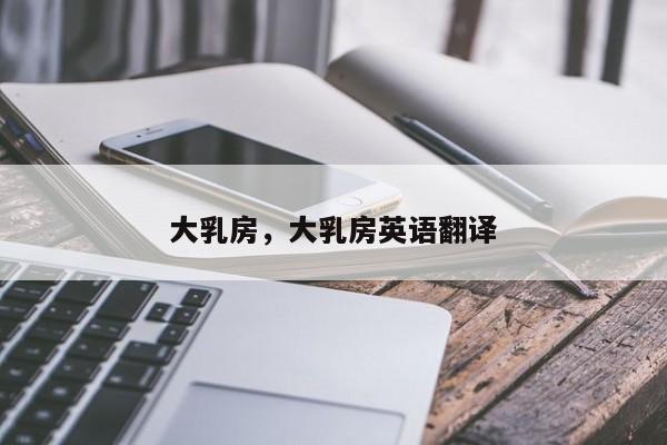 大乳房,大乳房英语翻译 第1张 大乳房,大乳房英语翻译 第1张