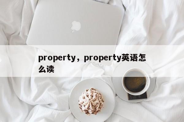 property，property英语怎么读