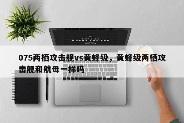 075两栖攻击舰vs黄蜂级，黄蜂级两栖攻击舰和航母一样吗  第1张