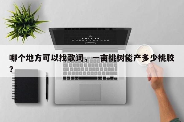 哪个地方可以找歌词，一亩桃树能产多少桃胶？