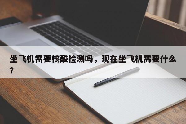 坐飞机需要核酸检测吗，现在坐飞机需要什么？